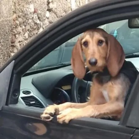 La Casetta Di Nika *