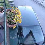 La Casetta Di Nika 別荘 *