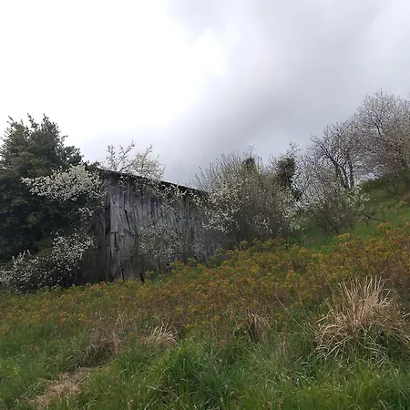 Casa de Férias La Casetta Di Nika San Bartolomeo (Chiavari)