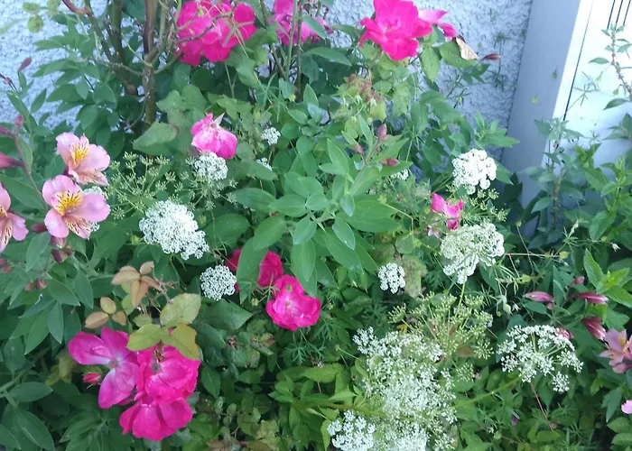 La Casetta Di Nika Holiday home